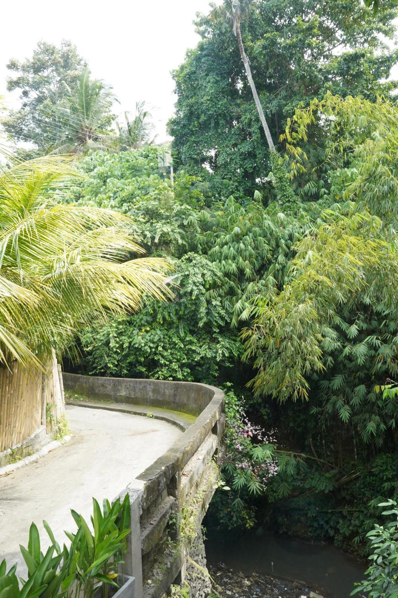 Central House Ubud  Luaran gambar