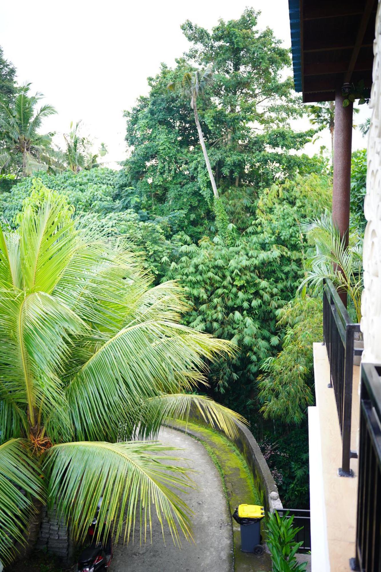Central House Ubud  Luaran gambar