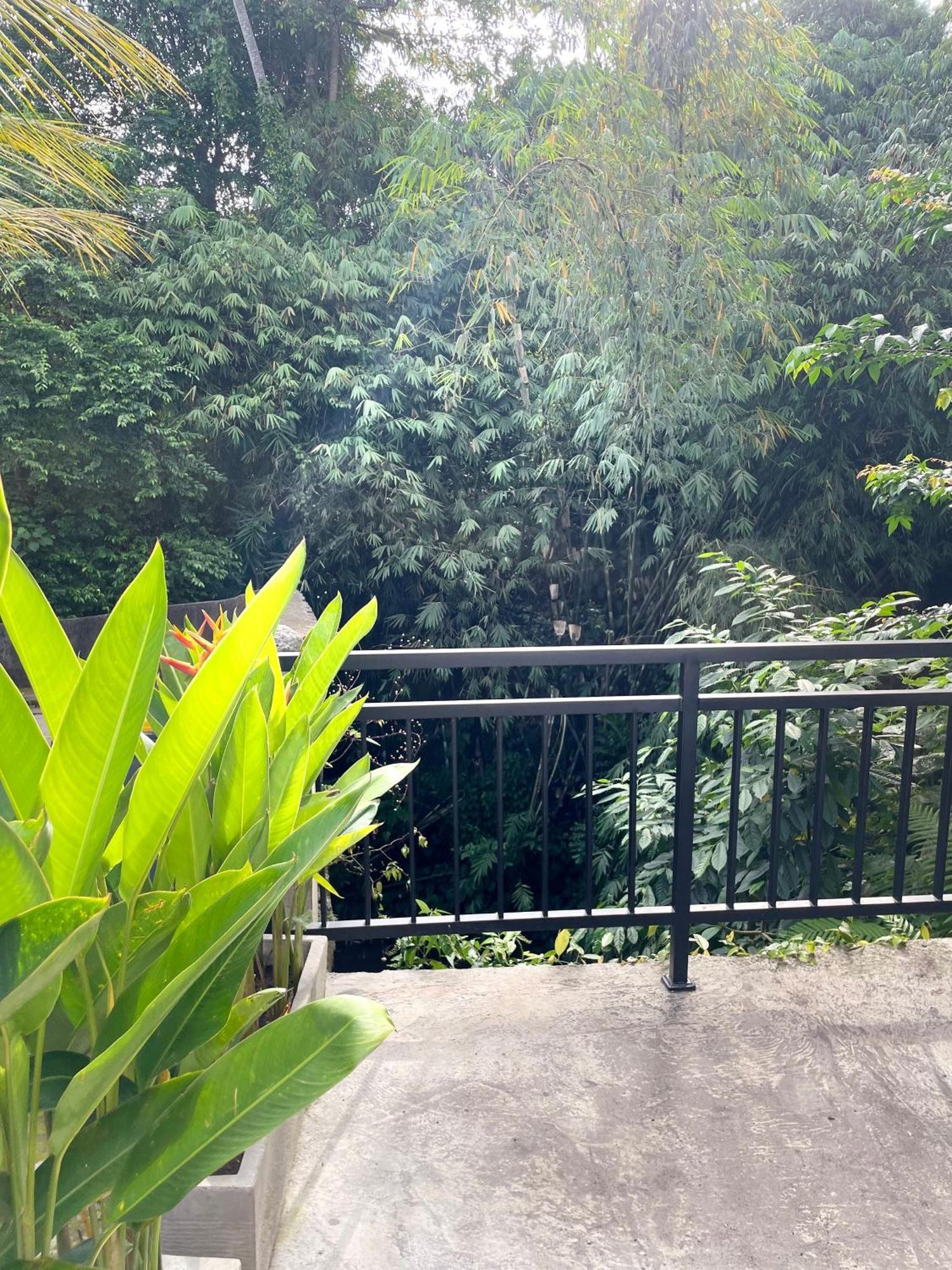 Central House Ubud  Luaran gambar